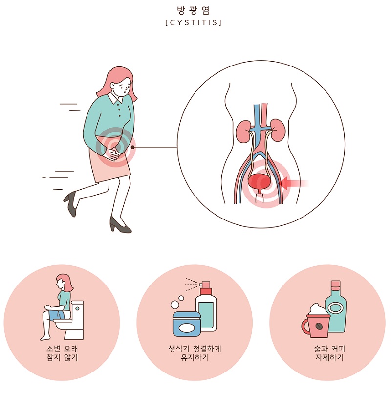 용비뇨기과의원 이미지