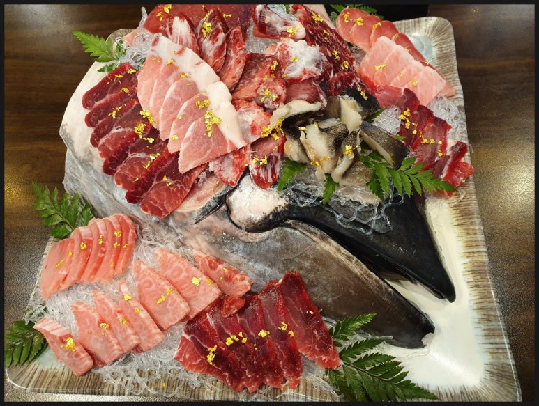 준참치 이미지