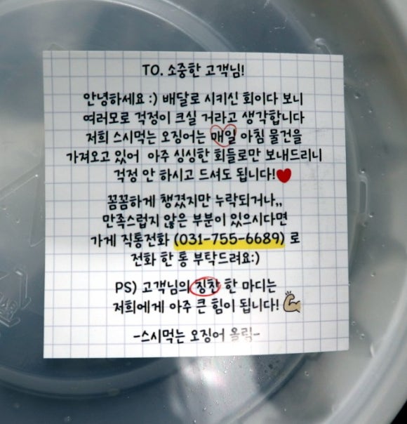 스시 먹는 오징어 이미지