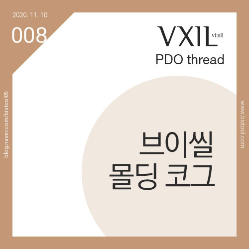 비코그 이미지
