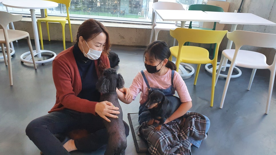 하늘꿈깨알코칭심리센타 이미지