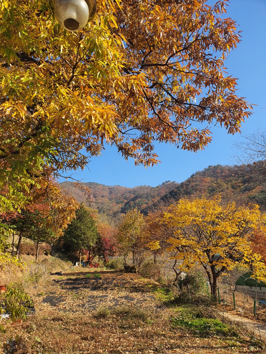 목감정육점 이미지