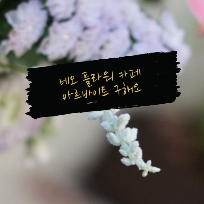 테오플라워카페 이미지