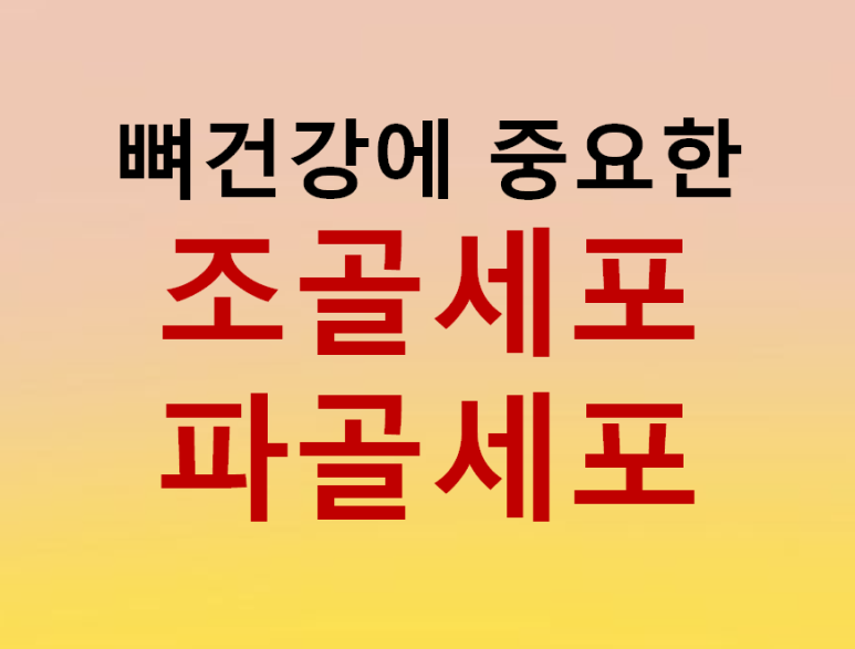 섹칼슘 이미지