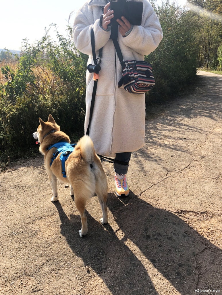 the좋은환경 이미지