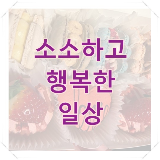 팔영산토종흑염소 이미지