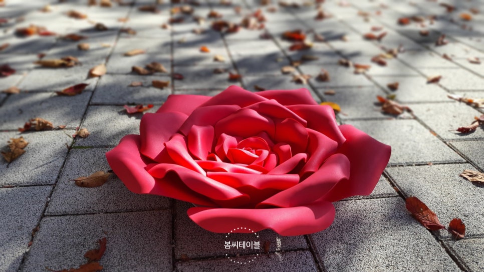 드롭플라워 이미지