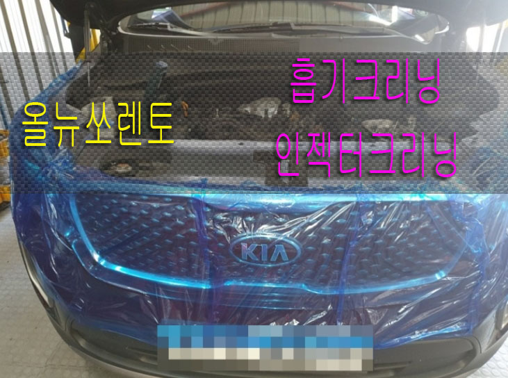 신화클리닝 이미지