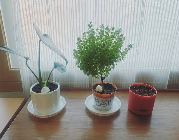 터미널화원 이미지