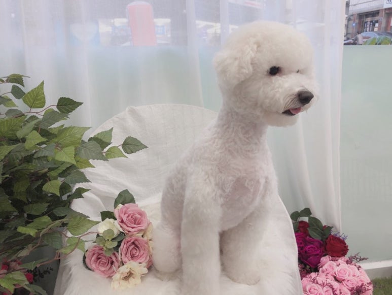 초원샵 이미지