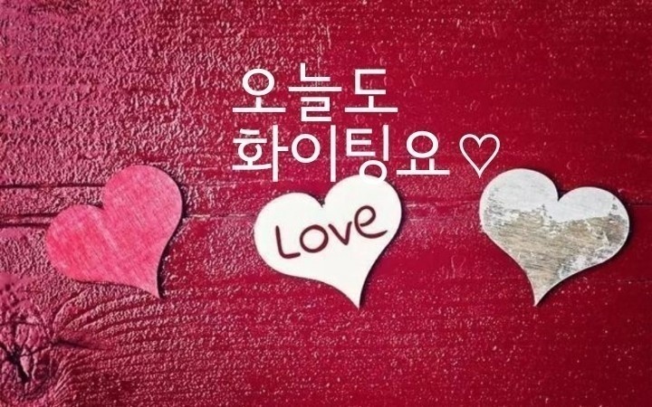 샬롬찐빵만두 이미지