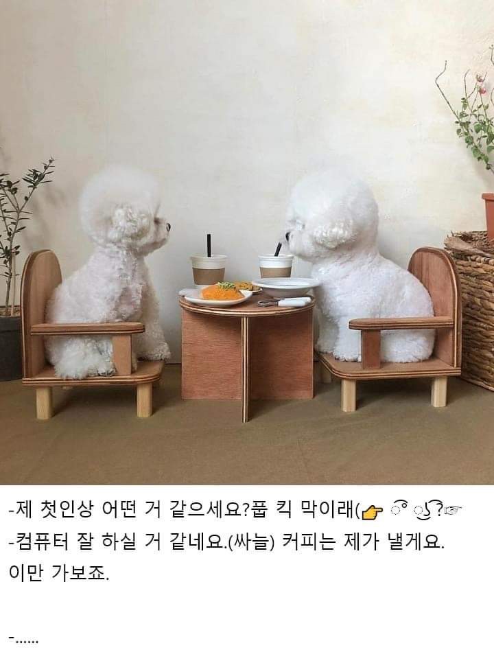 제주이마이가 이미지