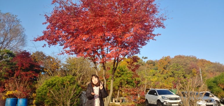 밤소리관광농원 이미지