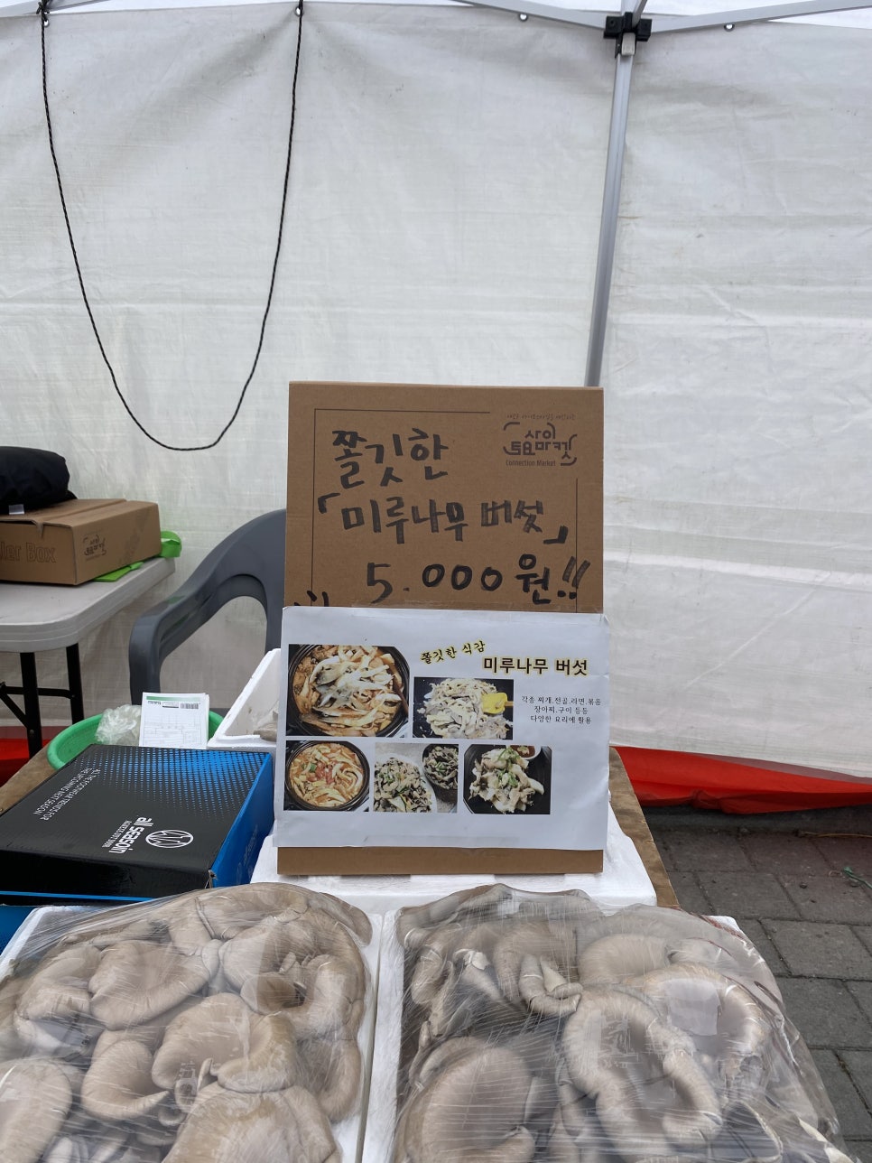 미루나무구이 이미지