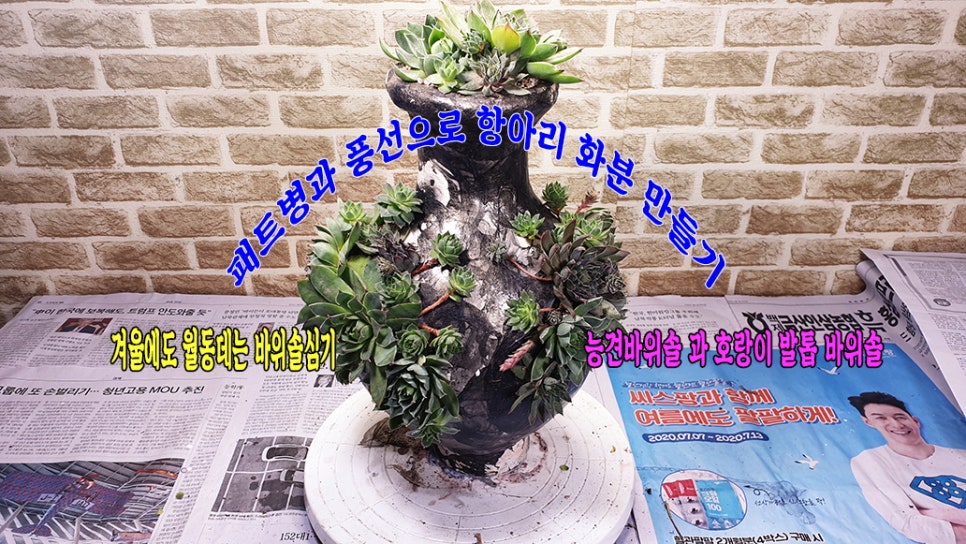 예쁜풍선만들기 이미지