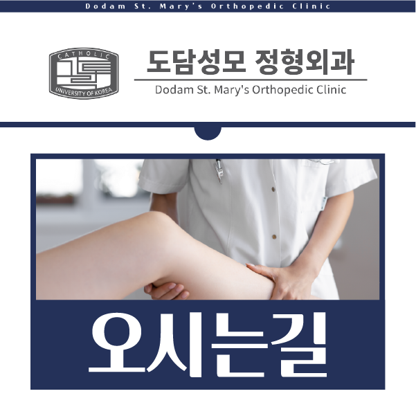 도담성모정형외과 이미지