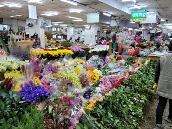 대림화원 이미지