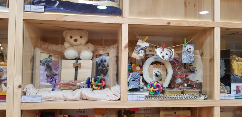 속초동해장례식장 이미지
