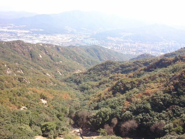 녹림 이미지