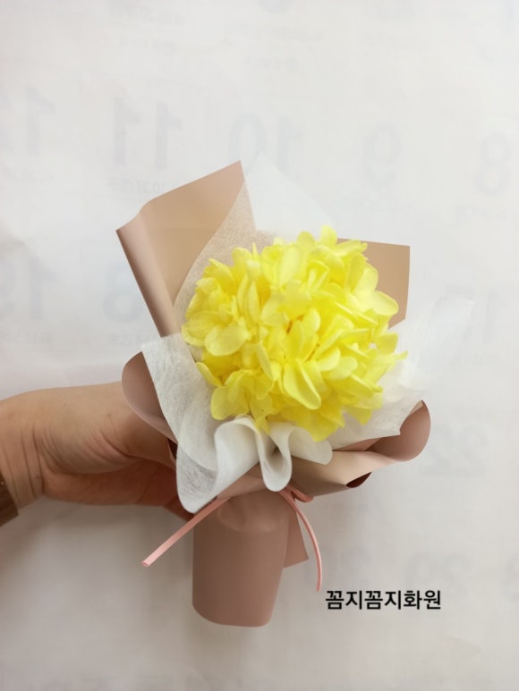 꼼지꼼지화원 이미지
