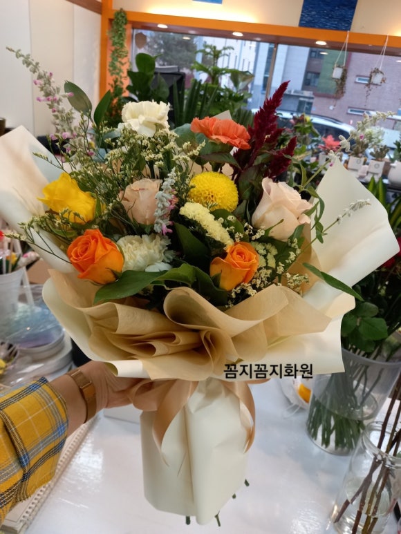 꼼지꼼지화원 이미지