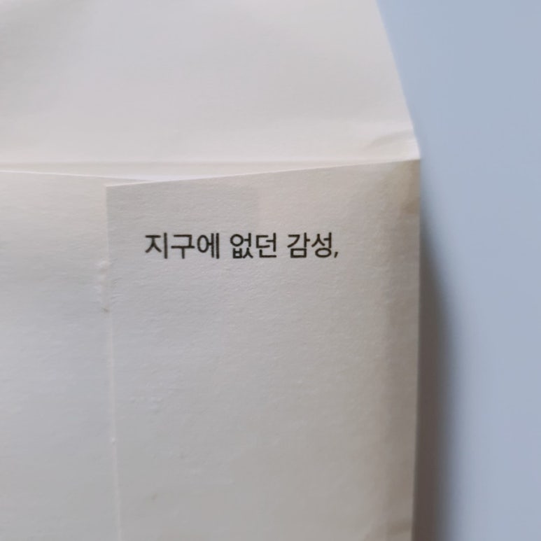 필라로이드 이미지