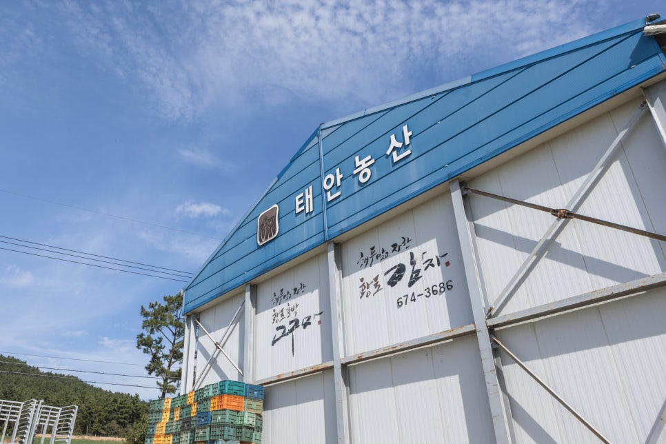 태안농산영농조합법인 이미지