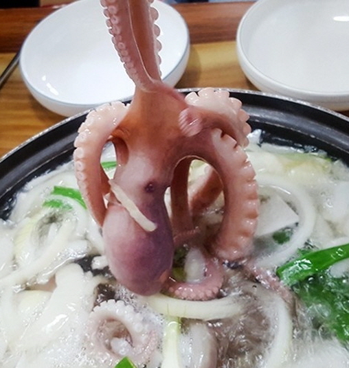희래성 이미지