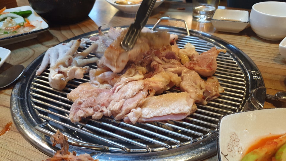 꼬꼬닭/안녕닭 이미지