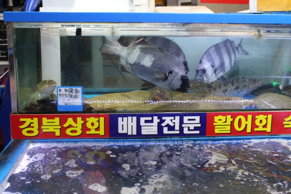 경북상회 이미지