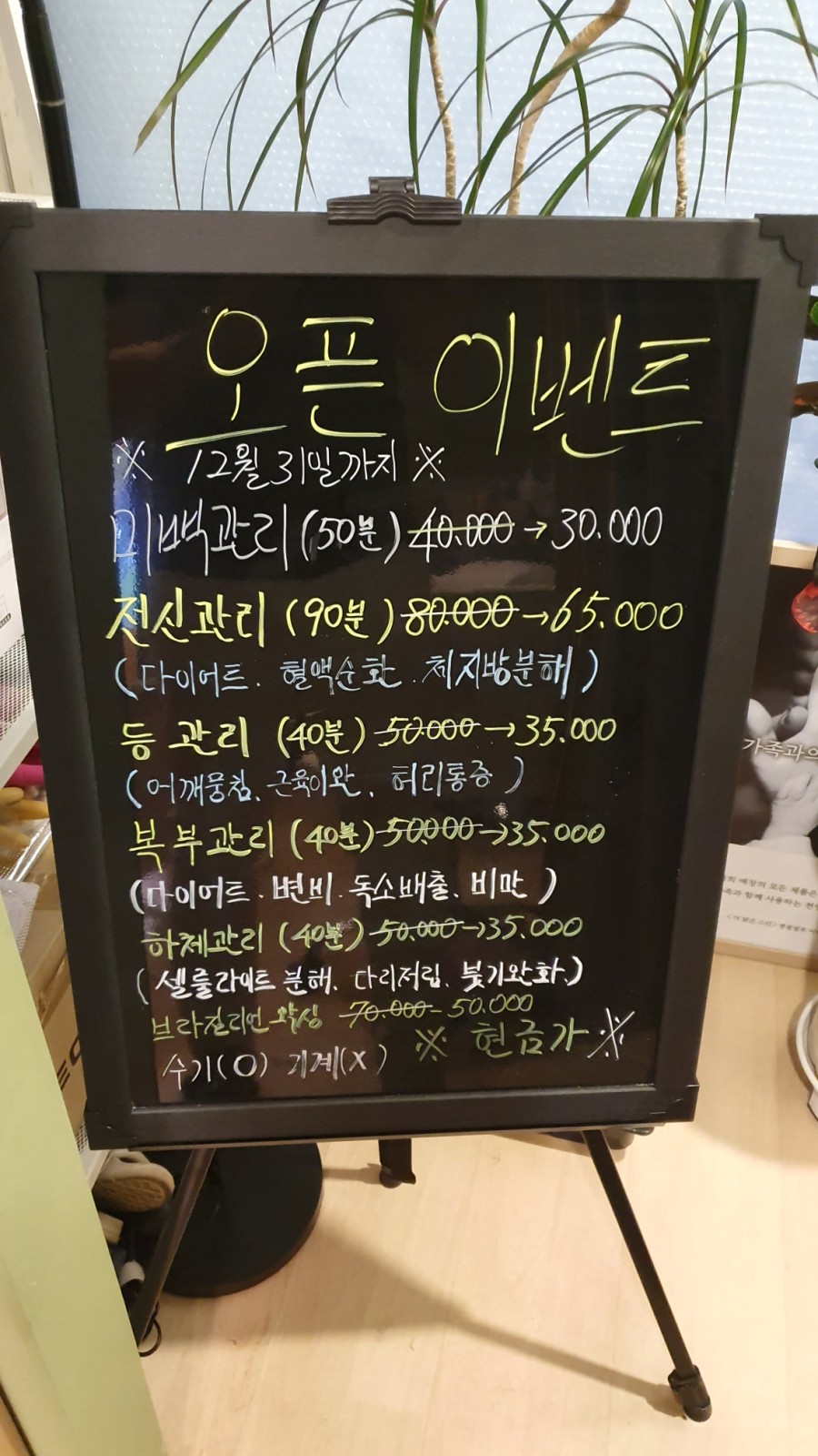 미스킨바디 이미지