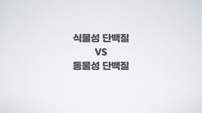 베타랩 이미지