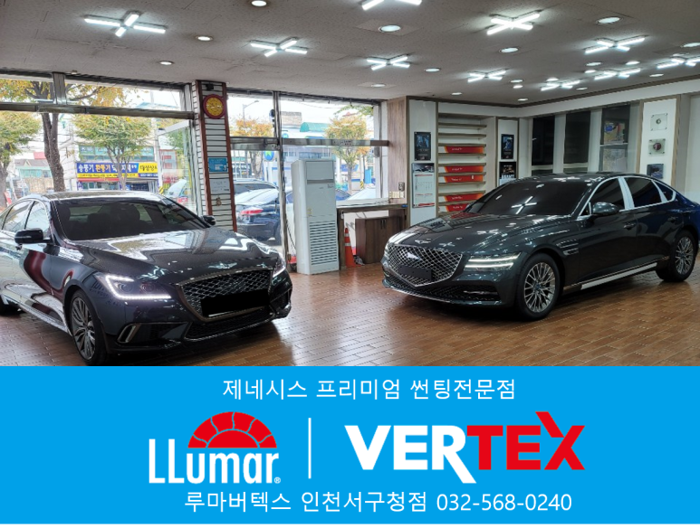 폴라버텍스 이미지