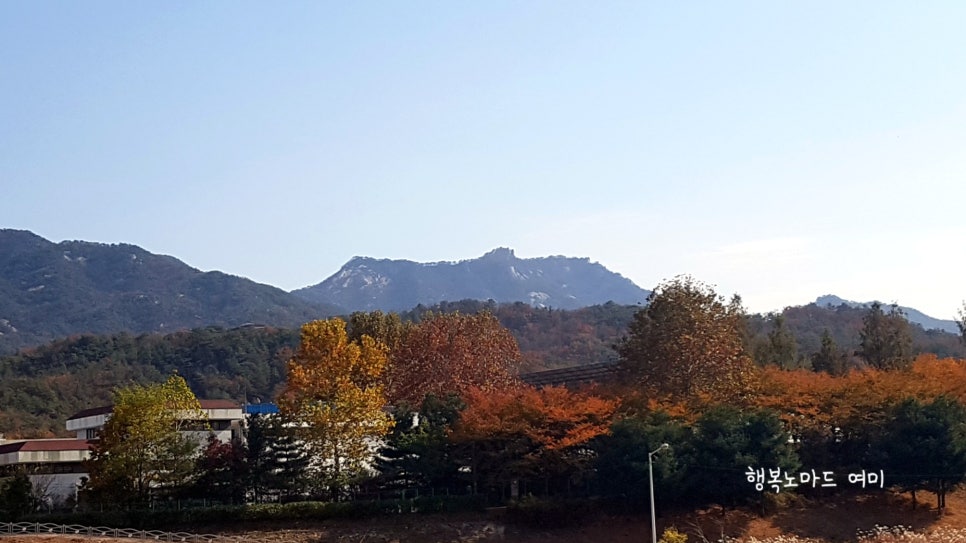 정스피치 이미지