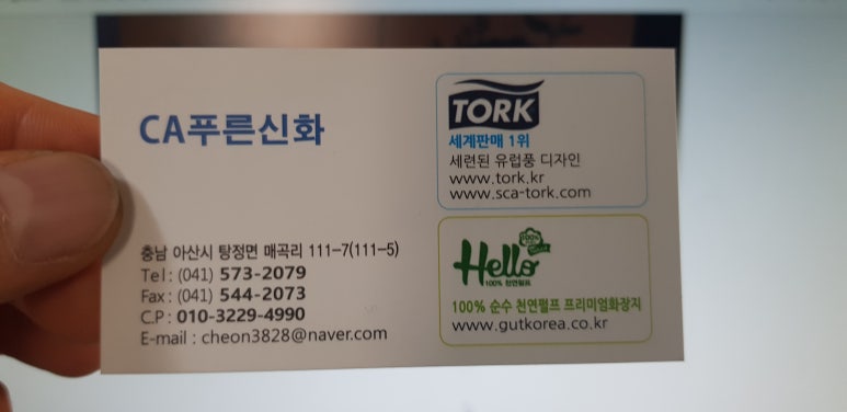 시에이푸른신화 이미지