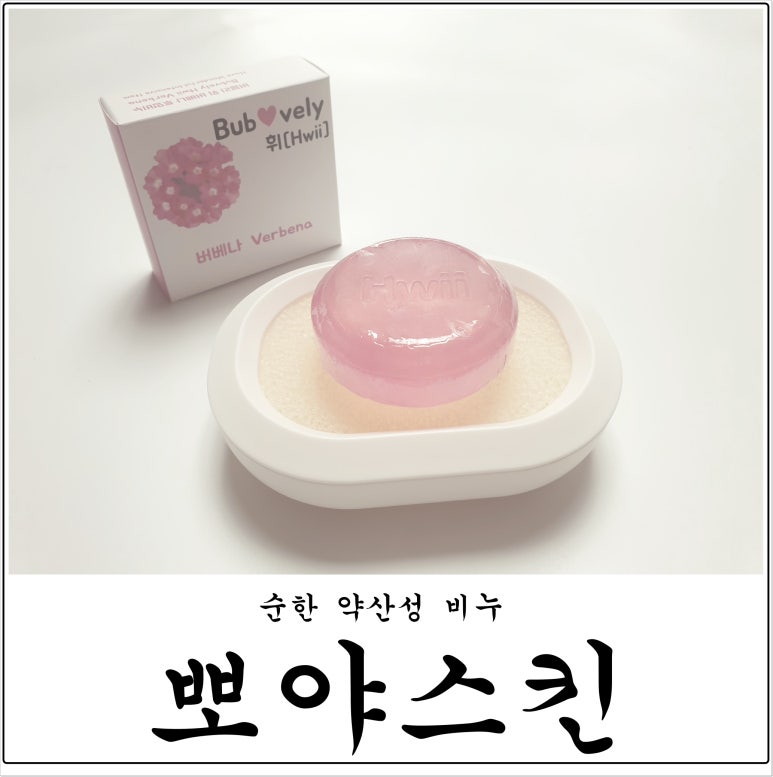 에이치홀릭 이미지