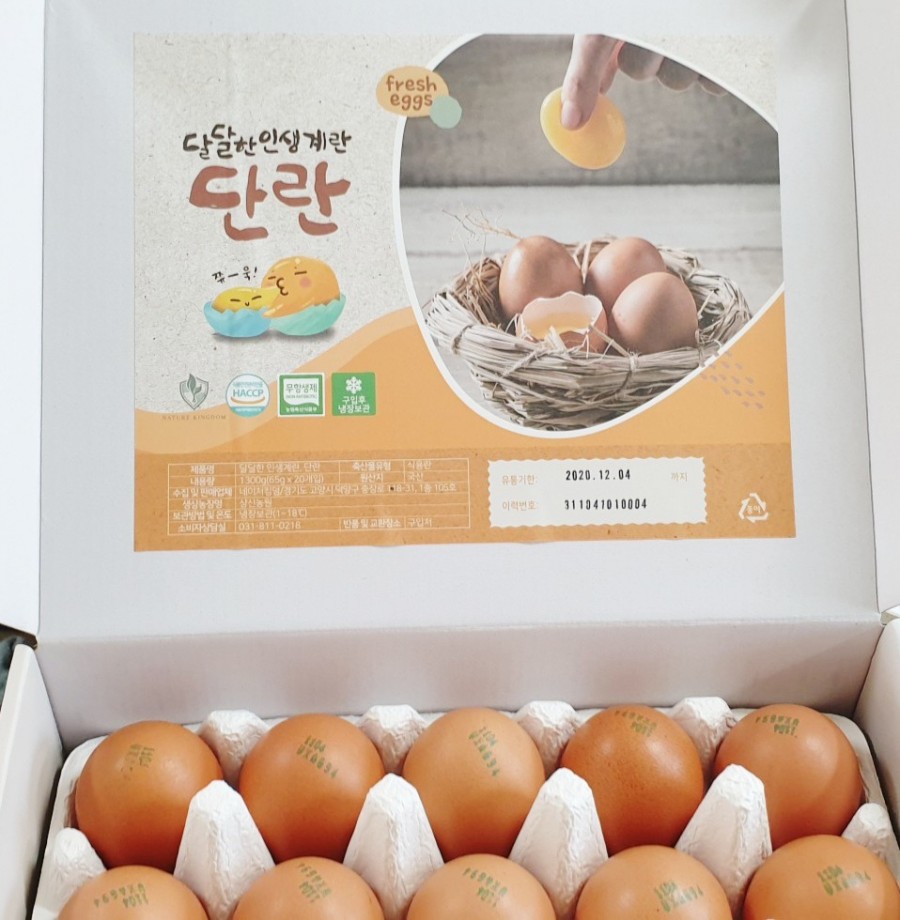 네이처킹덤 이미지