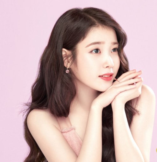 한결식품 이미지