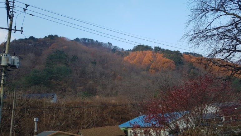 갈천훼미리리조트 이미지
