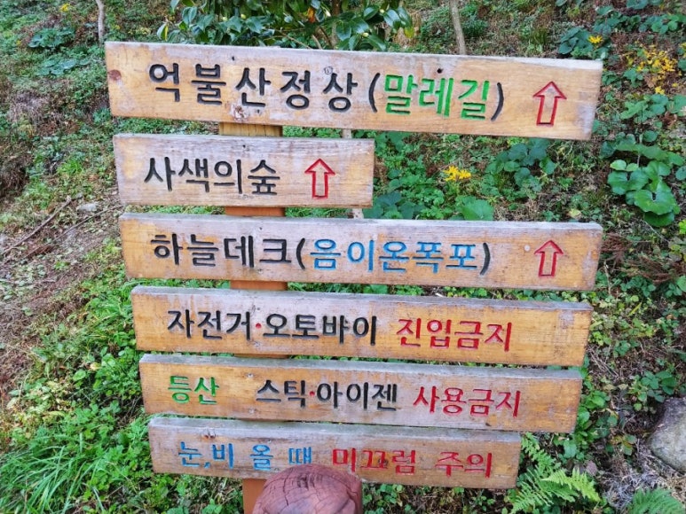 장흥청소년수련원 이미지