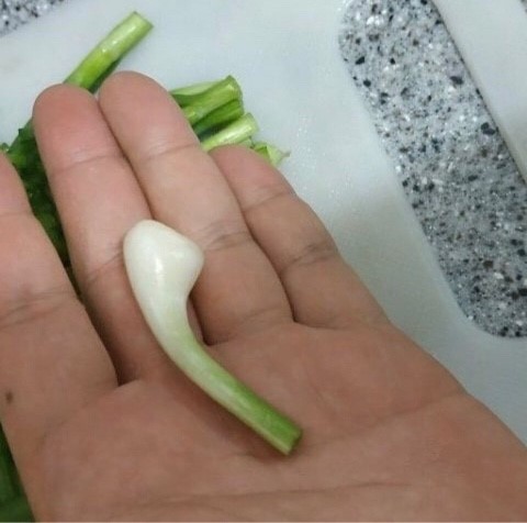 나르샤정보통신 이미지