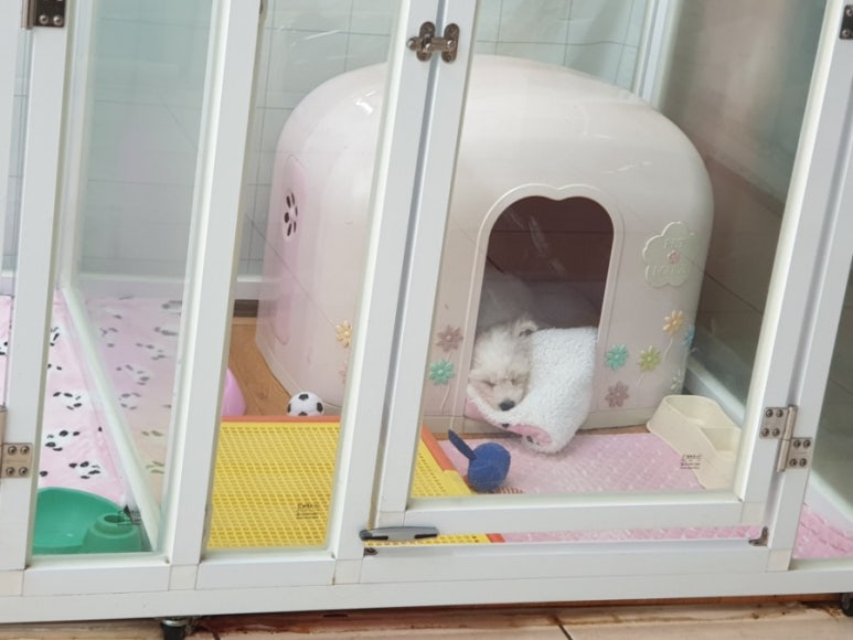 오늘 하루,머랭 이미지