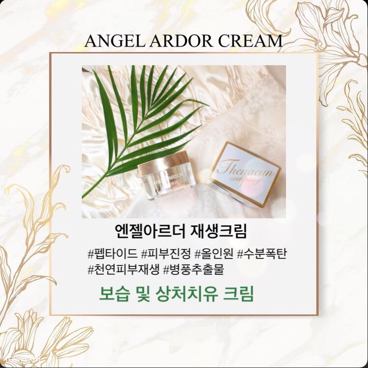 3엔젤 이미지