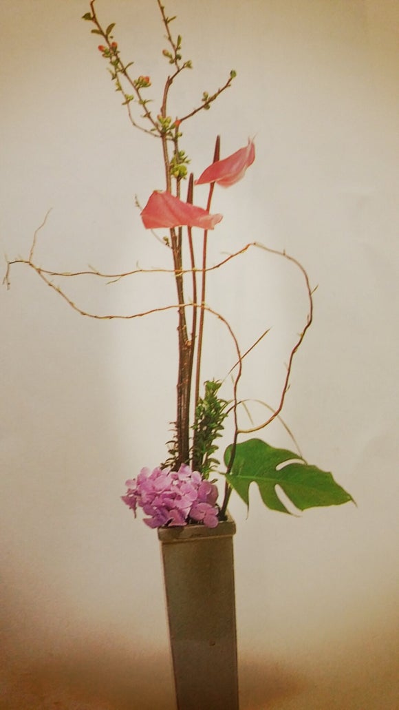 제이와이컴퍼니 이미지