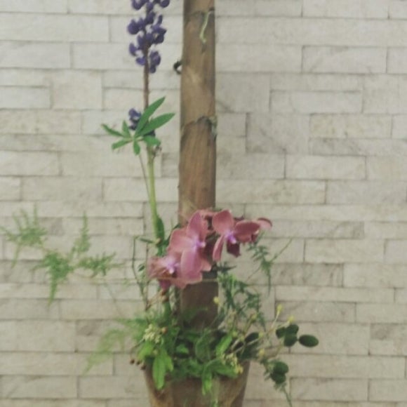 제이와이컴퍼니 이미지