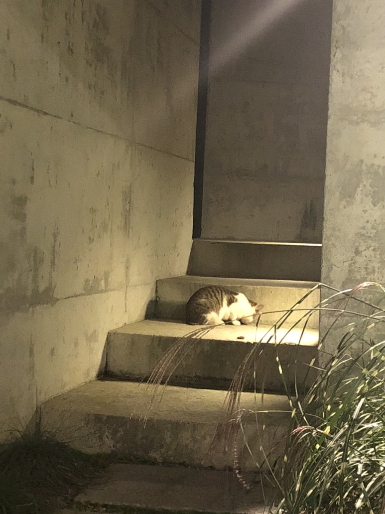 구천동농협하나로마트 리조트점 이미지