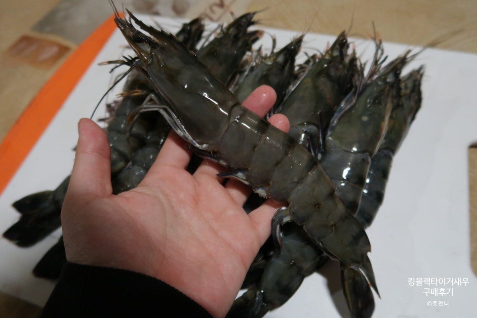 드림sea 이미지