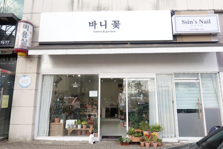 제부꽃집 이미지