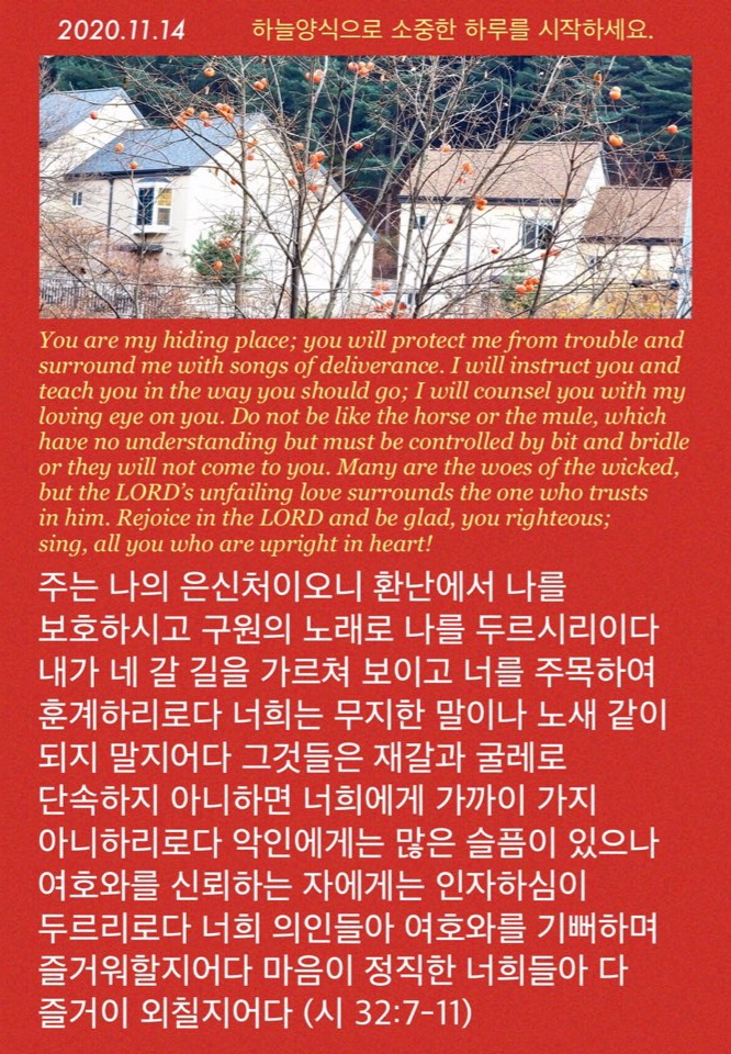 생명나무 이미지