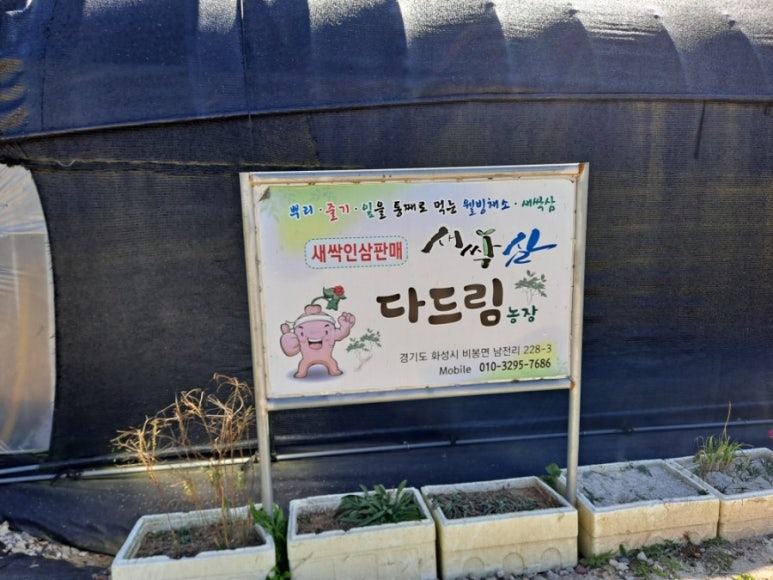 다드림푸드 이미지